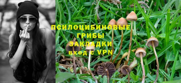 PSILOCYBIN Балахна